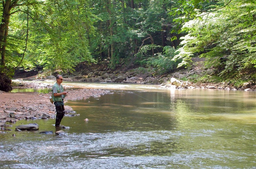 White Clay Creek Fly Fishing