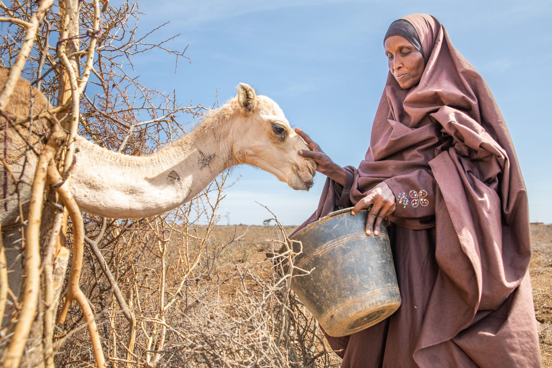 Mercy Corps Ventures launches new blockchain pilot