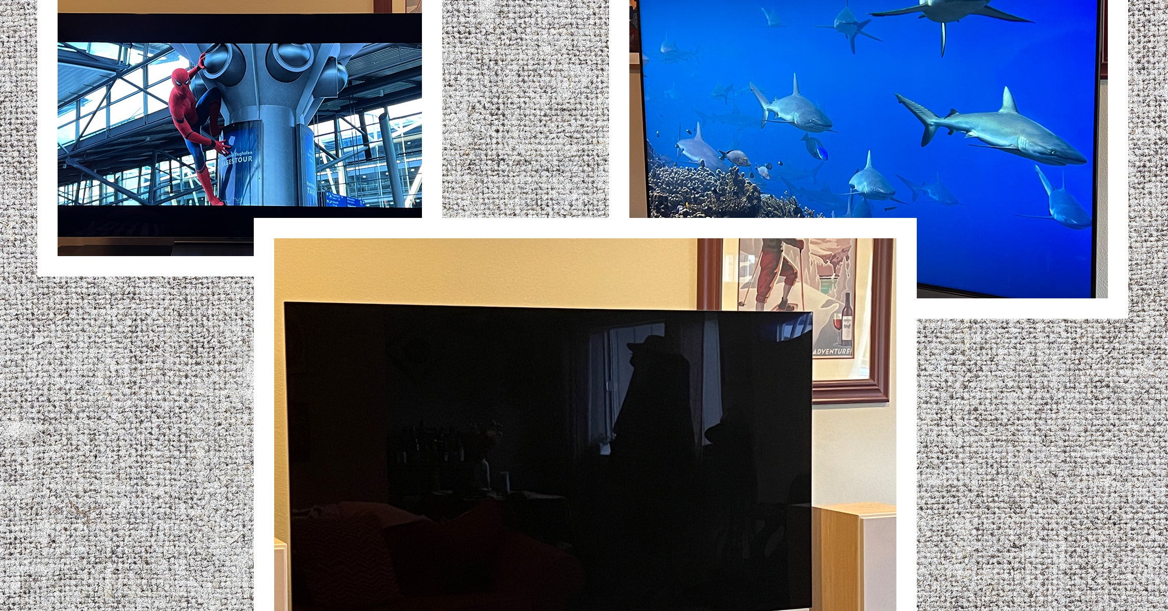 The 9 Best TVs We’ve Reviewed, Plus Buying Advice for Normies (2024)
