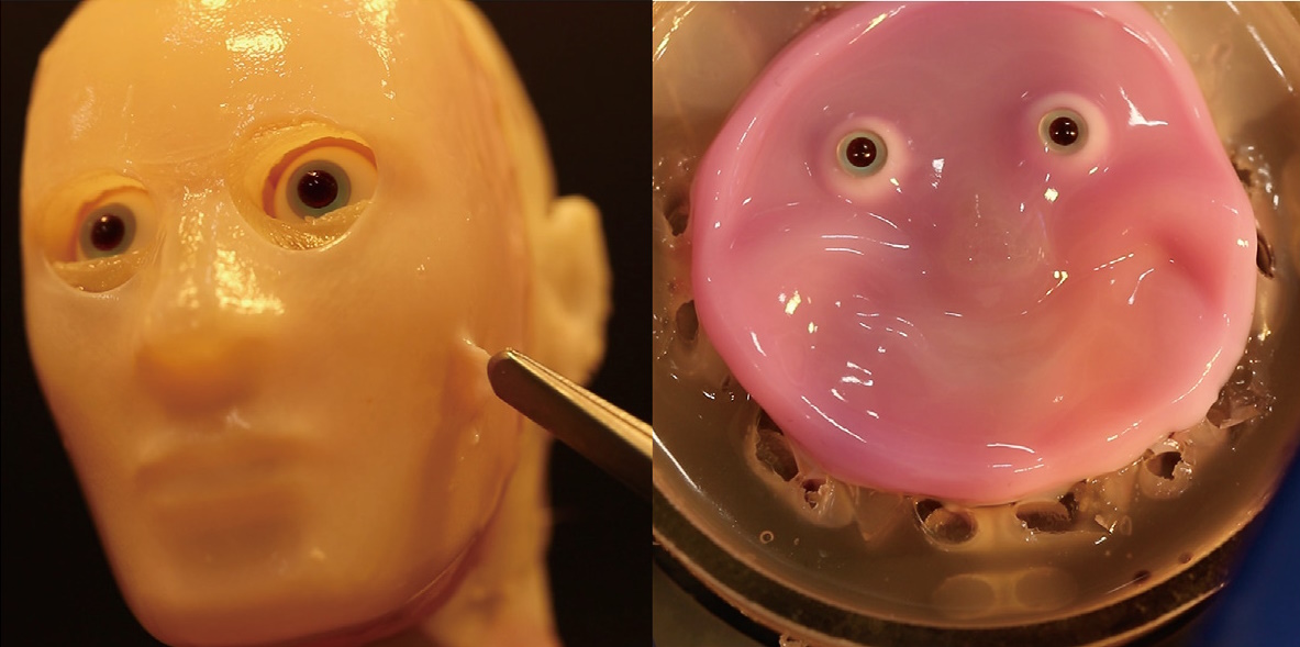 This smiling robot face made of living skin is absolute nightmare fuel