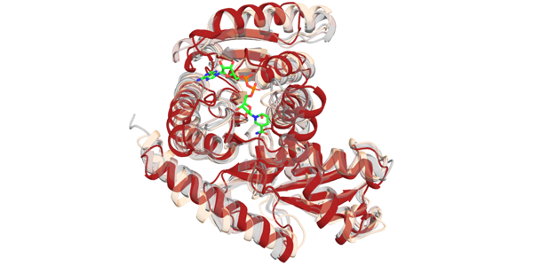 Exascale: Argonne Deploys Aurora for AI-Driven Protein Design – High-Performance Computing News Analysis