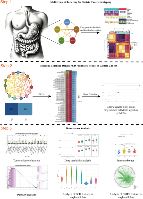 Multiomics integration and machine learning reveal prognostic programmed cell death signatures in gastric cancer