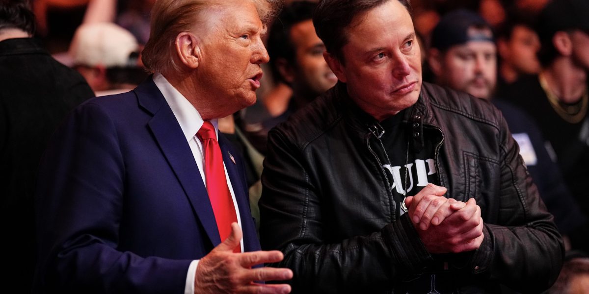 Elon Musk’s budget-cutter-in-chief role for Trump is a ‘dangerous combination’ that risks creating conflicts of interest with his AI empire