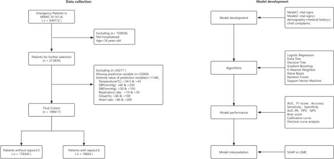 Interpretable machine learning for predicting sepsis risk in emergency triage patients